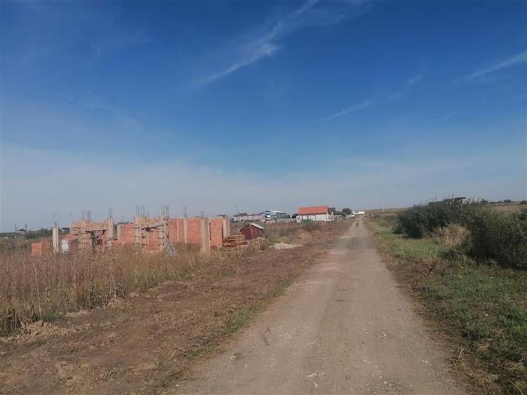 Fara Comision Teren Giarmata - 1