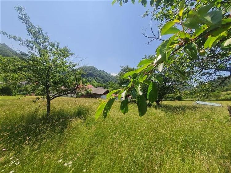 Teren de 1.450 mp, cu priveliste de carte postala, Bran, Moieciu, Brasov - 19