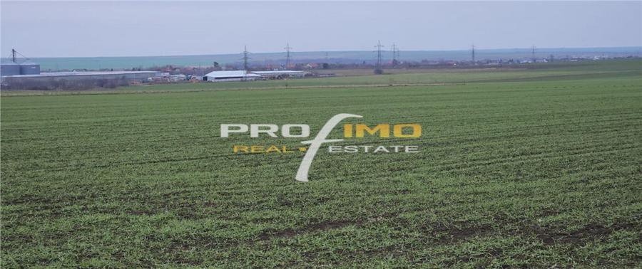 Plaja Corbu-Teren 4200mp. la numai 8 euro /mp. Soseaua asfal - 11