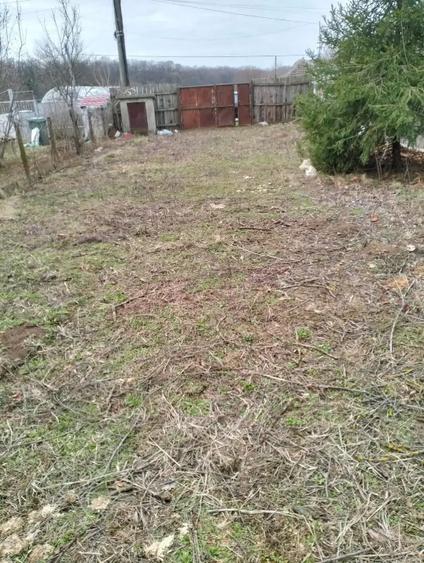 Teren lipia Ilfov intravilan lângă pădure 4400mp - 3