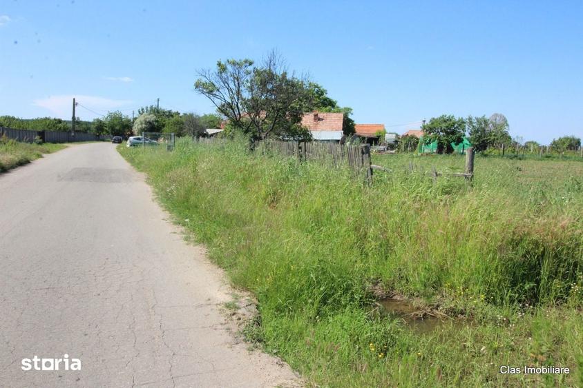 Teren Bistrita-Noua, pretabil investitie cu deschidere generoasa !! - 3