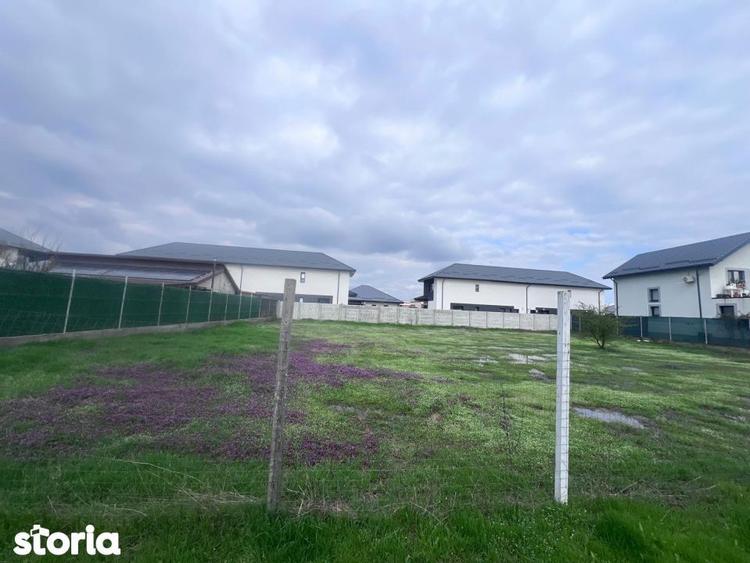 Teren de Vanzare in Bragadiru strada Crisul Repede 173 - 2