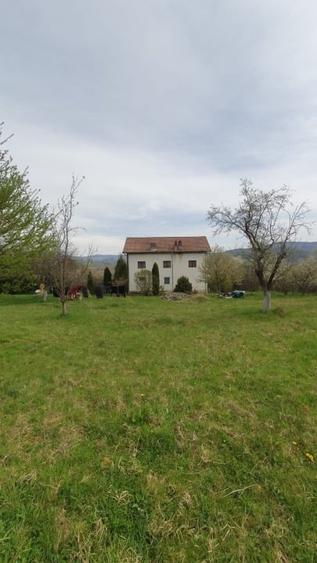 Investitie Calimanesti - 3