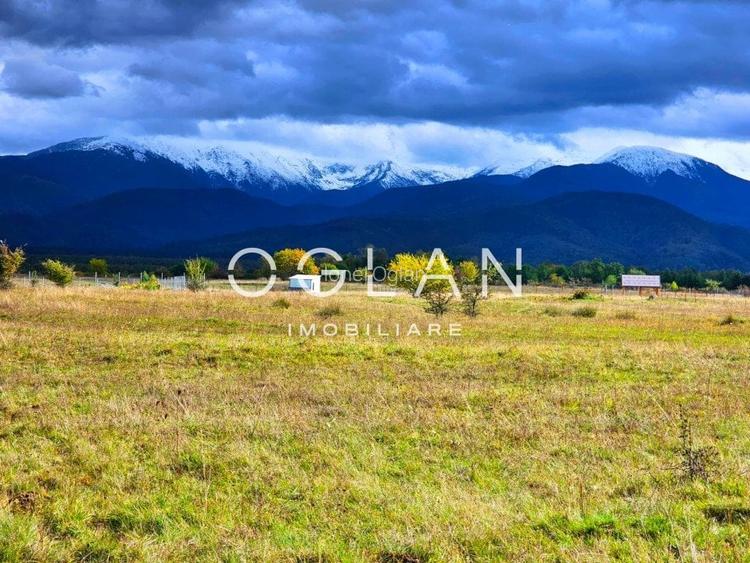 SUPER OFERTA! Teren 2000mp - Valea Avrigului, Sibiu