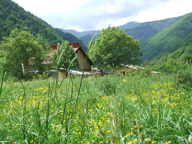 Raul Mare Retezat, Parcul National Retezat, Judetul Hunedoara - 6