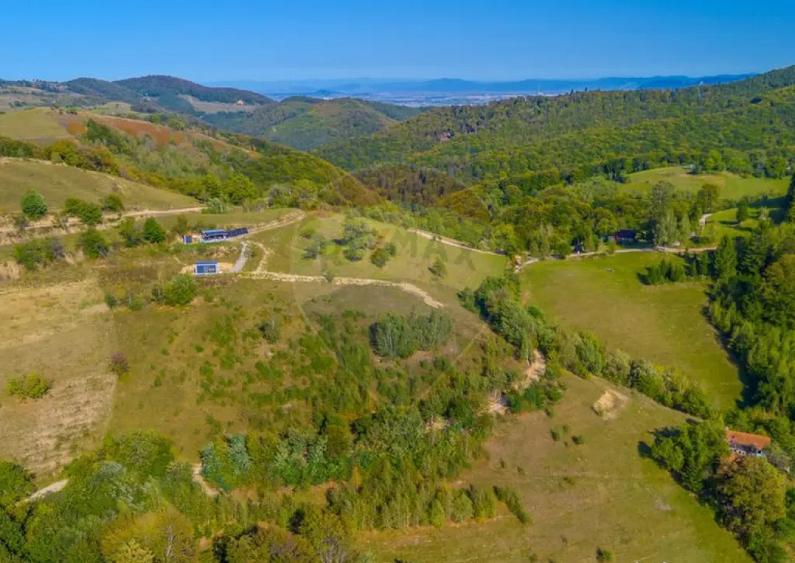 Teren extravilan 6,014mp | Holbav | BRASOV | COMISION 0| - 13