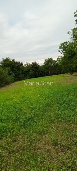 Proprietar vând teren cu casa demolabila