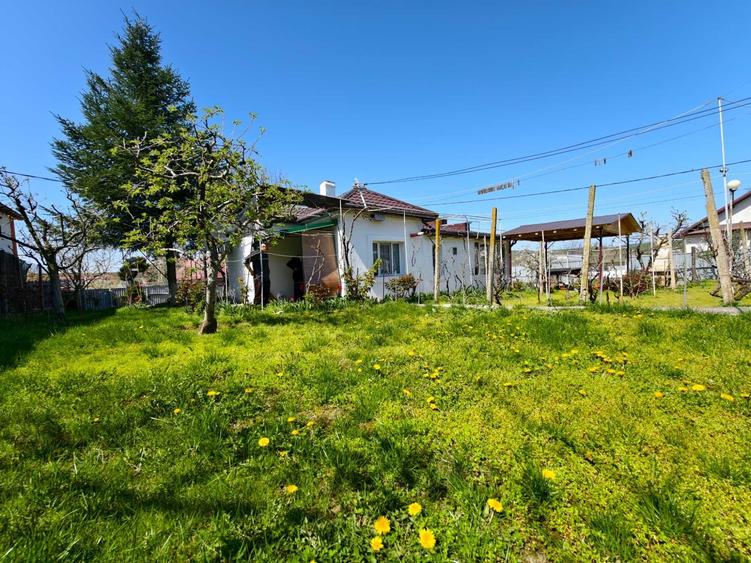 Casă cu 3 camere în Central