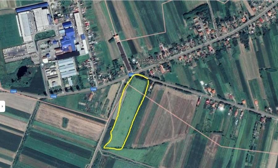 Teren de 28000 mp, în Vetiș