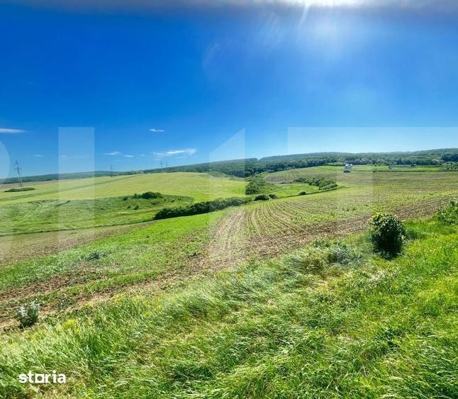 Teren de 2050 mp, în Gorbănești