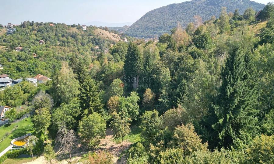Teren Construcții intravilan de 5500 mp, în Brașovul Vechi