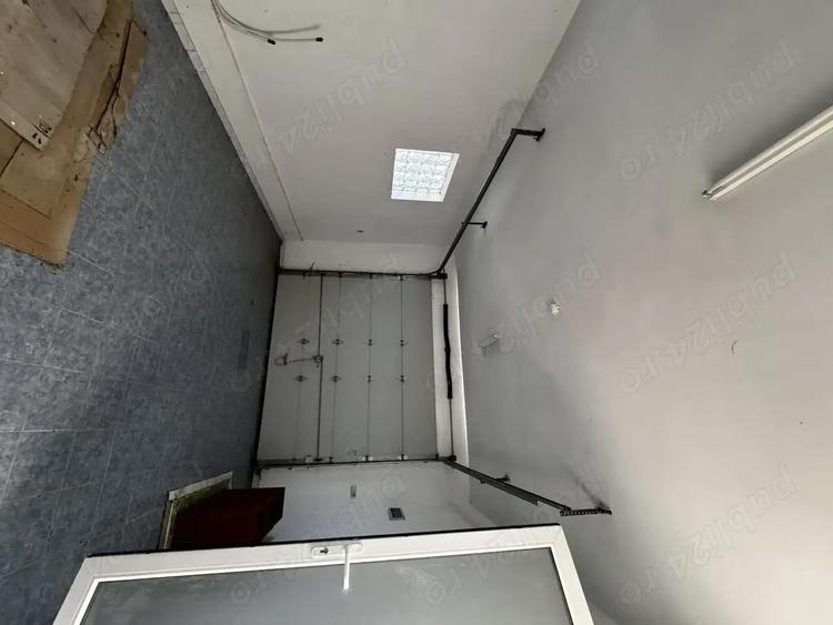 Vila cu livada Paulis, Arad - 4