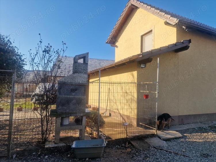 Spa?iu comercial cu casa zona A - 3