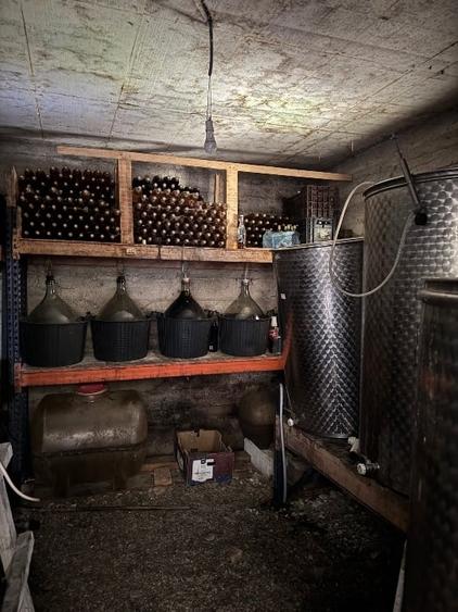 Cabana Montana- Pensiune- Sala de evenimente (Bârlogul urșilor) - 8