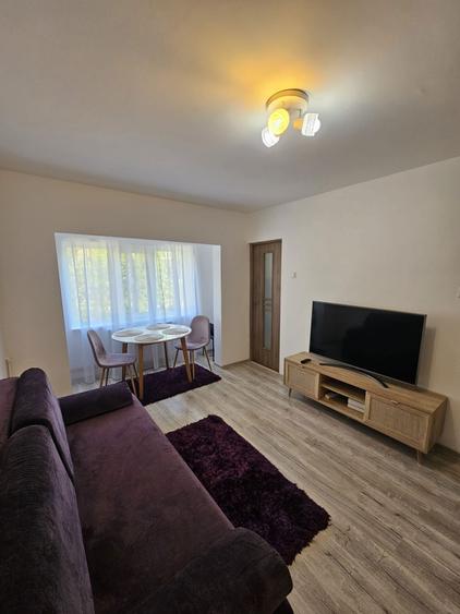 Proprietar, inchiriez apartament cu o camera in Lipovei - 1