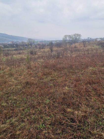 Parcele de teren Valea Chintaului 500 mp (16/31) cu CF individual - 1