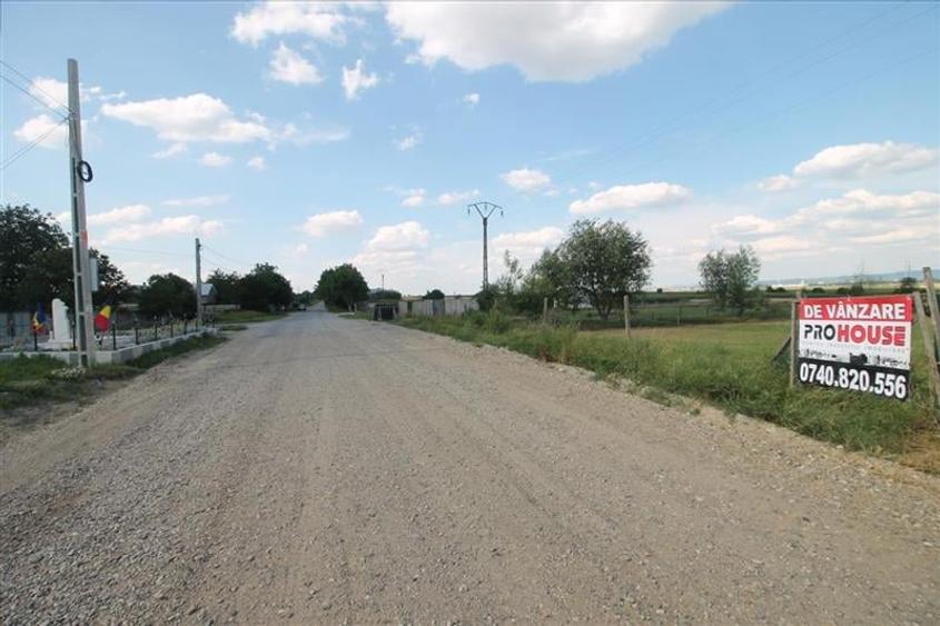 Teren 3000 mp intravilan - Sarata - 3