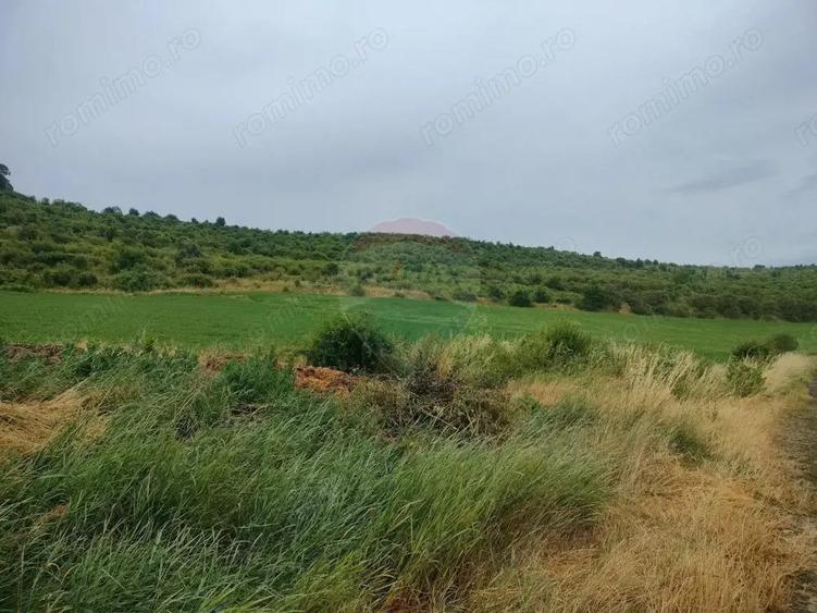 Teren extravilan 18200 mp Reghin - 2