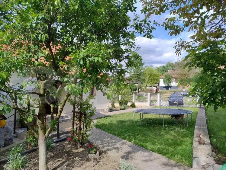 Casa in Teaca cu 4 camere si 10 ari de teren - 14