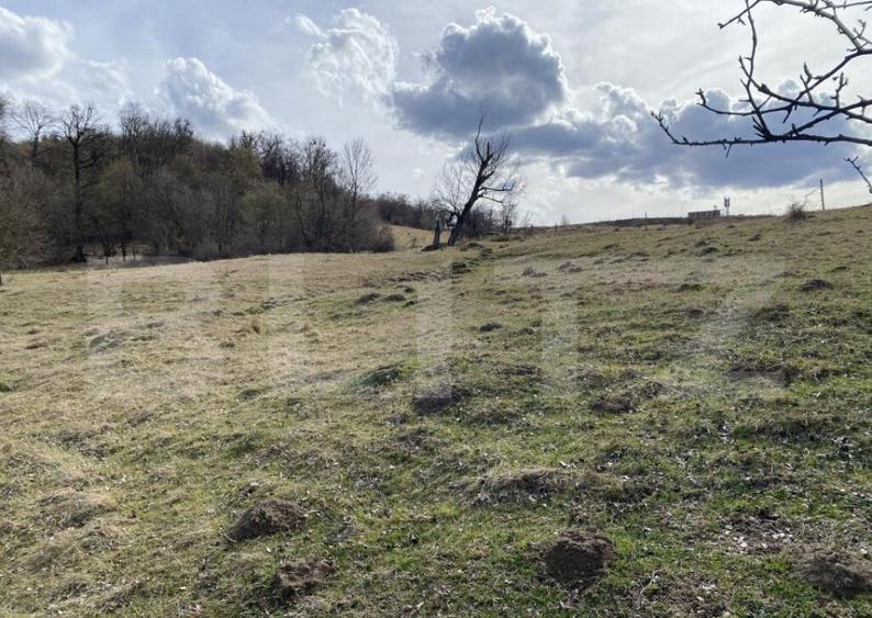 Teren extravilan in suprafata de 7500 mp la poalele Mesesulu - 2