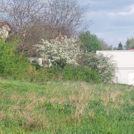 Teren zona Galata Aleea Strugurilor - 2