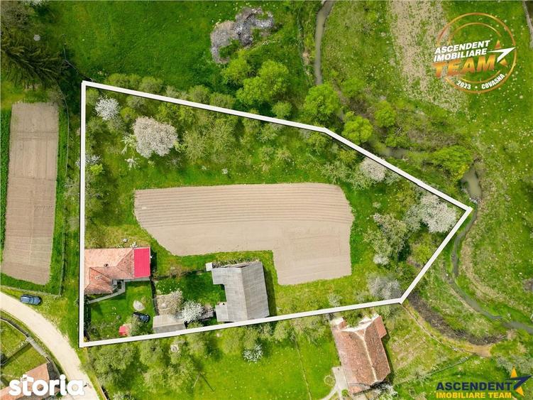 Casa cu farmec rustic + teren privat de 3.315 mp, Borosneul Mic, Covas - 4