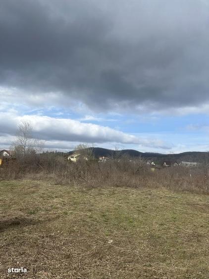 BANESTI - teren intravilan - 1035mp - 50 Euro/mp - 3