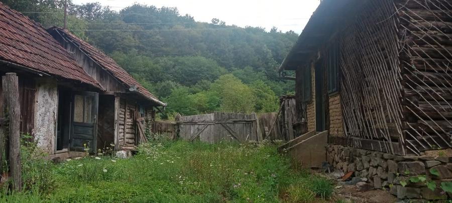 Vand casa cu gradina - 3