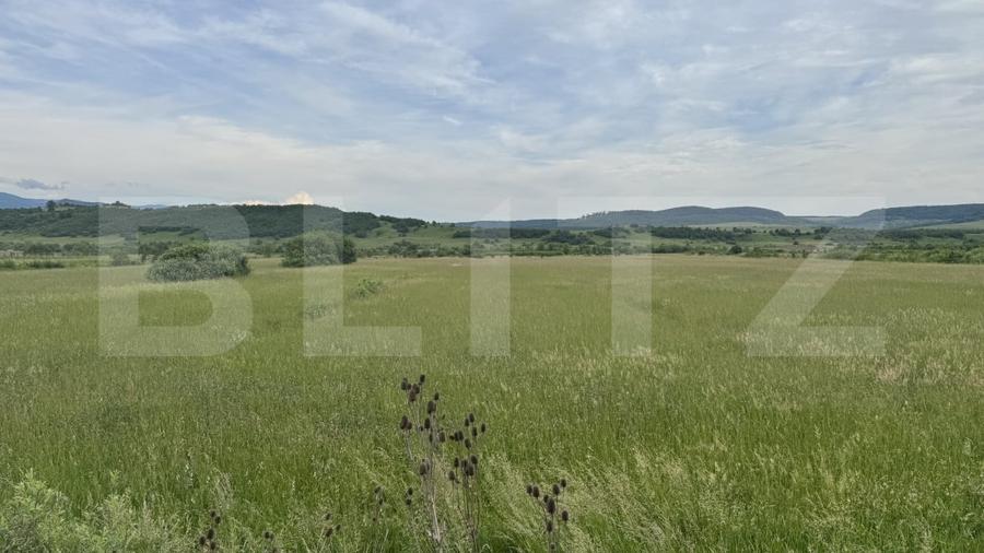 Teren Construcții extravilan de 5500 mp, în Livezile