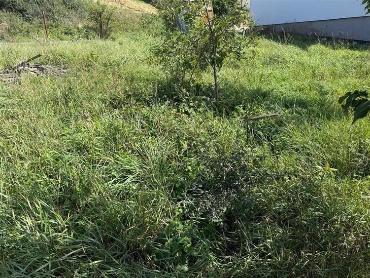 Casa individuala cu 2 camere si 495 mp teren in Sura Mare - 6