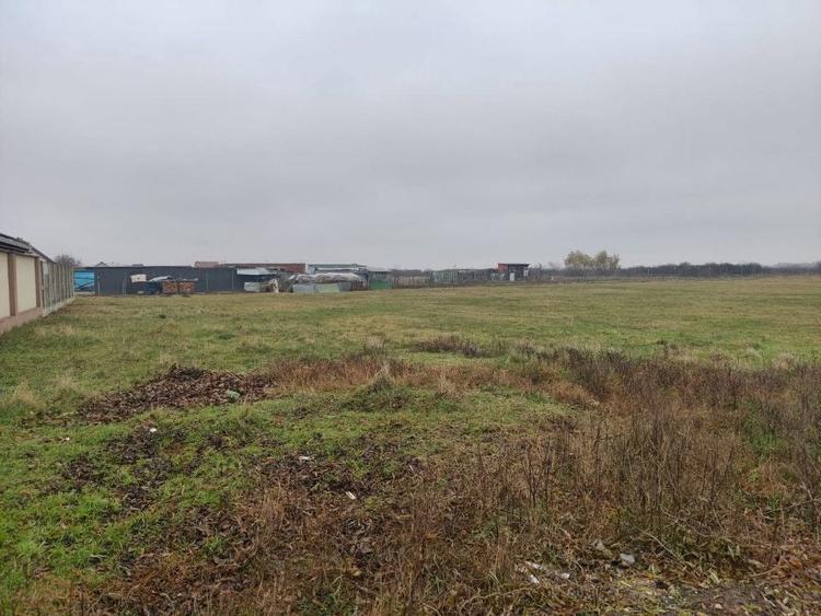 Teren 4588 mp, Remetea Mare Comision 0% - 6