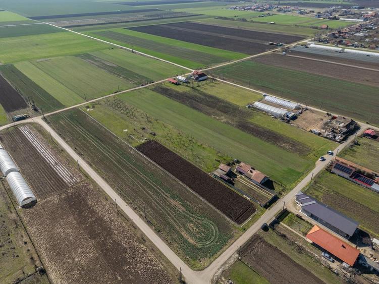 Teren 3.600 mp în Curtici, 2 fronturi stradale – La doar 20 km de Arad - 6