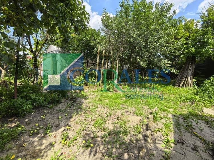 In apropiere de Profi!  Teren Generos! - 10