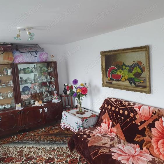 De Vanzare, Casa la tara - 6