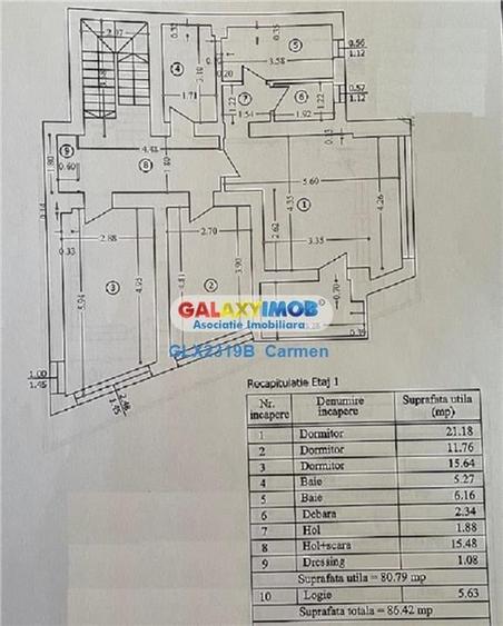 Vanzare vila si teren - Bucuresti - Lacul Morii - adiacent Str Orsova - 7