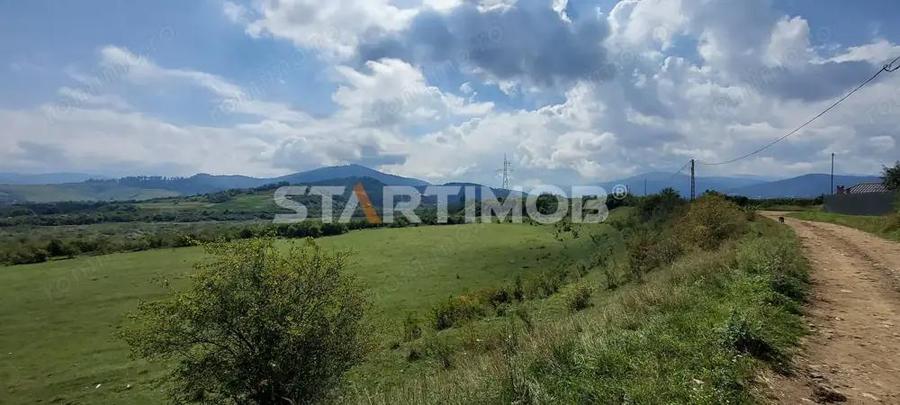 Teren Intravilan Tarlugeni - 3