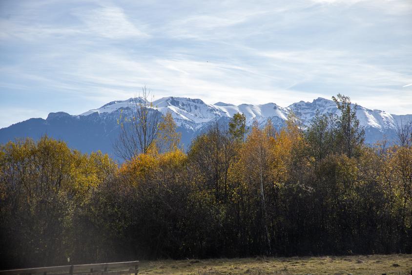 Teren intravilan 5723mp Zarnesti Tohanita- case de vacanta,investitie in turism - 17