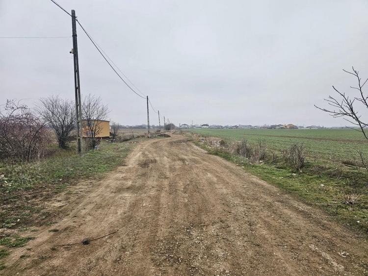 De vanzare loturi de la 500 mp in Magurele Strada Castanilor - 2