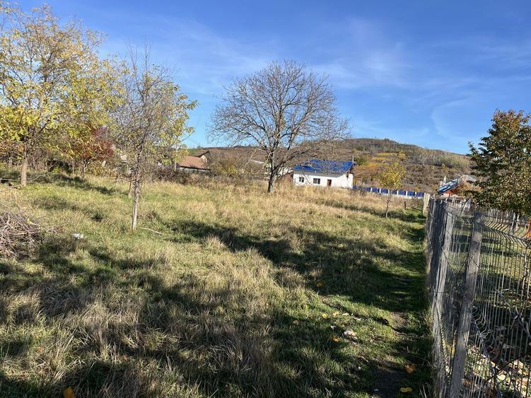 Teren intravilan - 1