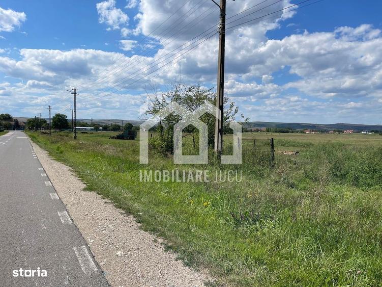 Teren 3000 mp Jucu de Sus | 4 case | utilitati | drum judetean | 60/m - 8