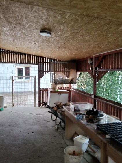 Vand casa Ghizdaru Giurgiu - 3