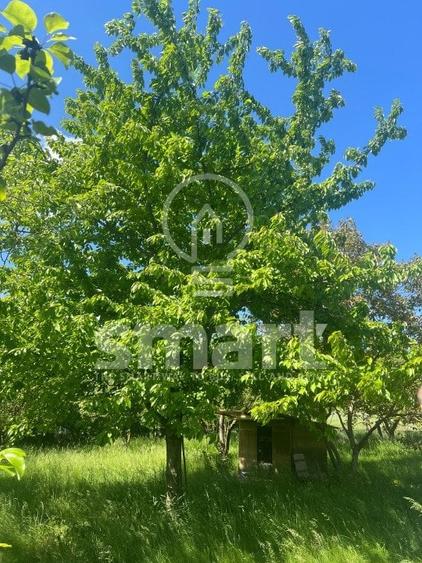 Teren plan autorizat casa individuala Borhanci 1122 mp - 5