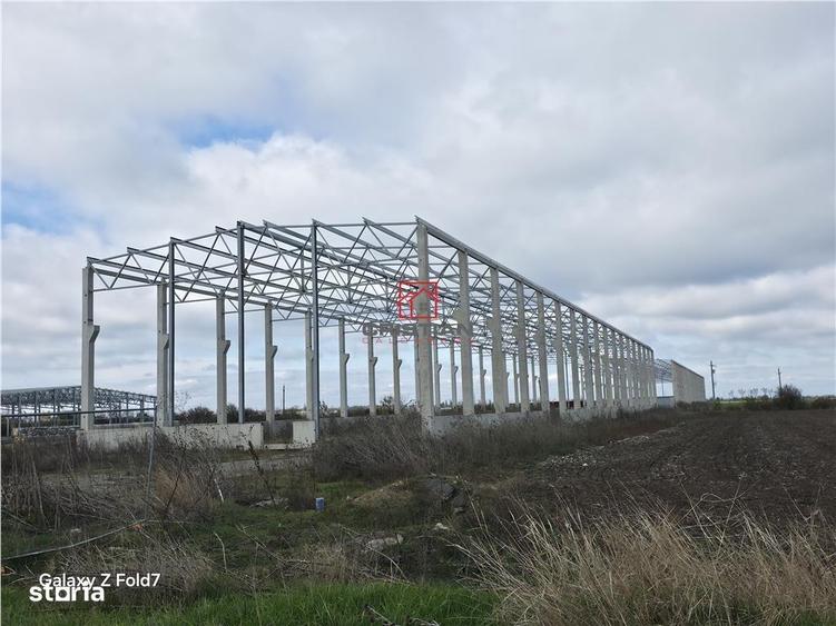 Vanzare depozithalaspatiu industrial Mogosoaia - Buftea - 8