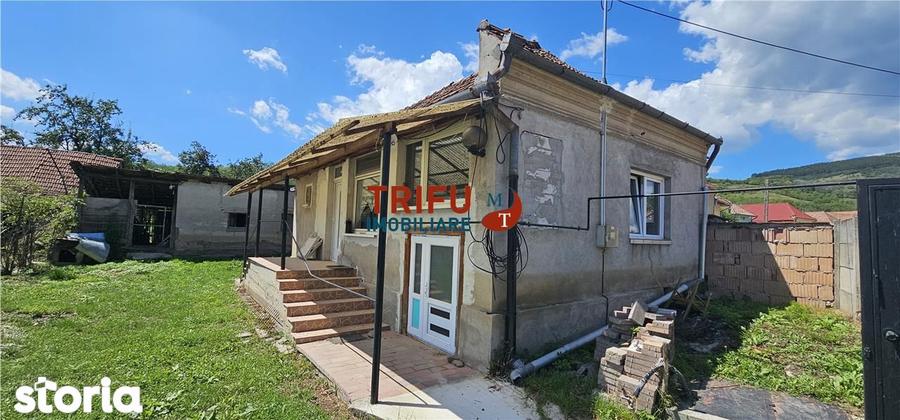 Casa de vanzare in comuna Cricau 1534mp teren - 11