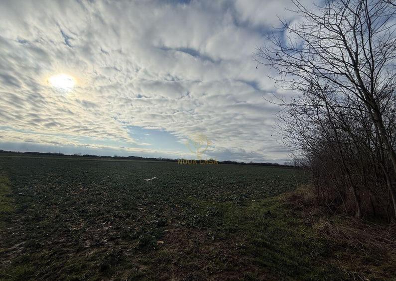 Teren 6600MP Cu Front Stradal 101 M La Intrare in Lazuri ... - 3