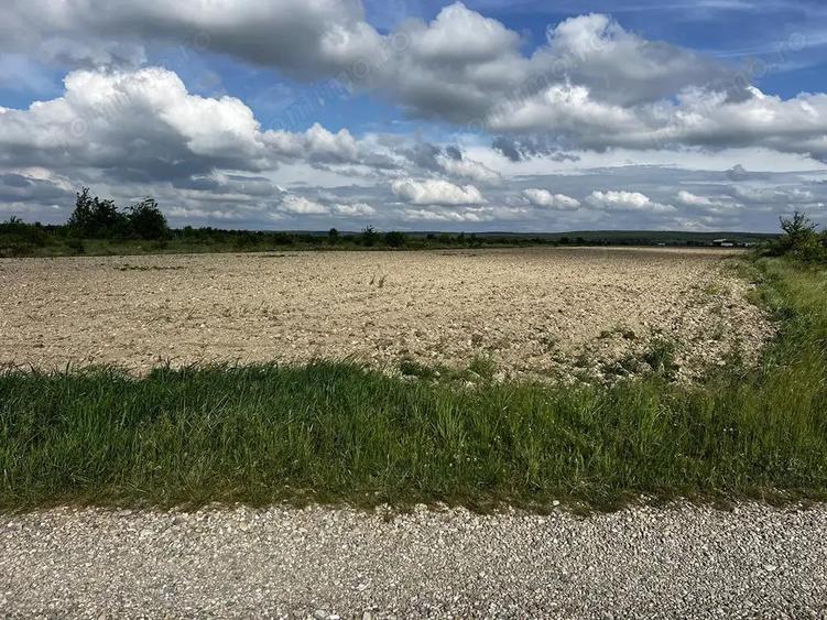 Teren intravilan parcelabil - Pausa comuna Nojorid - IMOBIHOR - 2