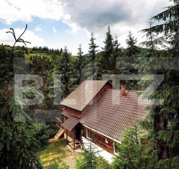 Cabana 8 camere, 450 mp, teren, 2200 mp, zona Garda de Sus - 1