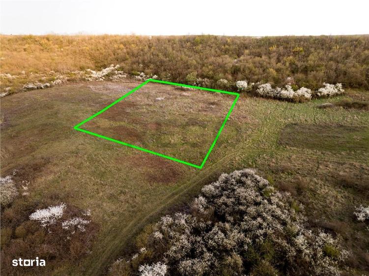 RECO Teren exclusivist 1800 mp in Betfia panorama superba - 2