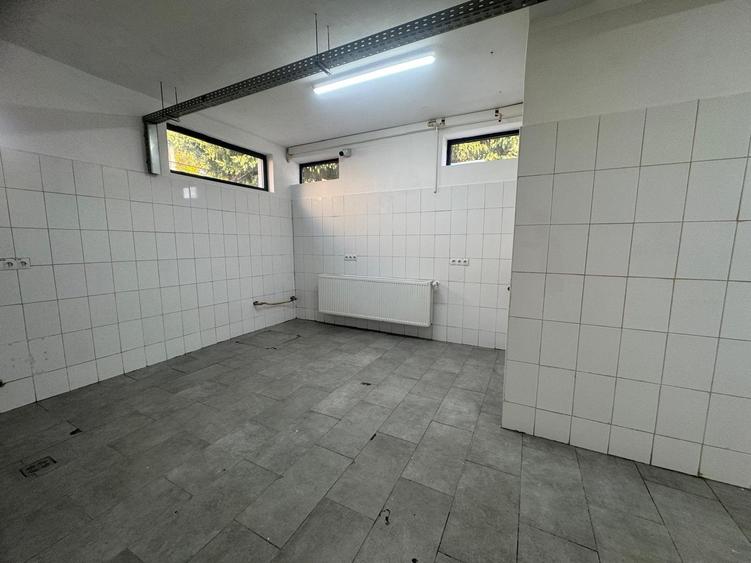 Spatiu cu alta destinatie Lipovei !!! - 3