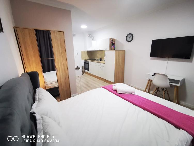 Garsoniera in zona Lipovei cocheta 250 euro - 6